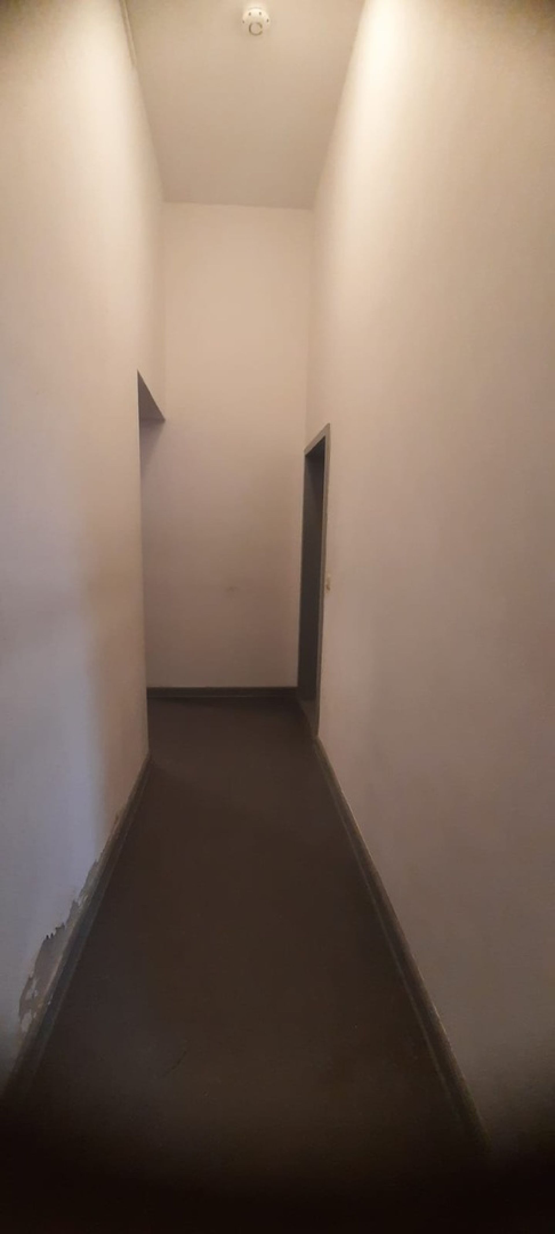 11-Gödens_Zimmer_3-1_flur_4.jpg